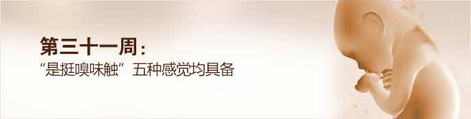 31周.jpg